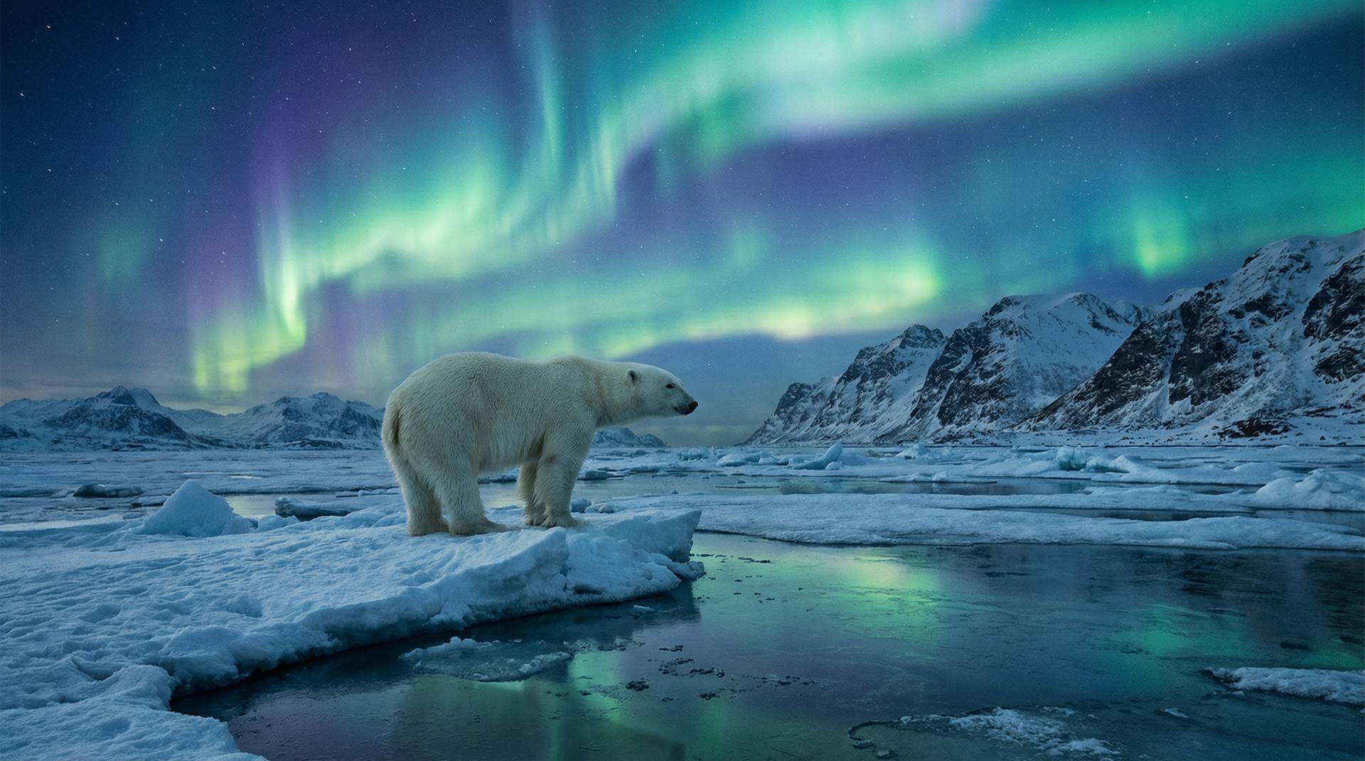 茄子视频杰尼龟视频